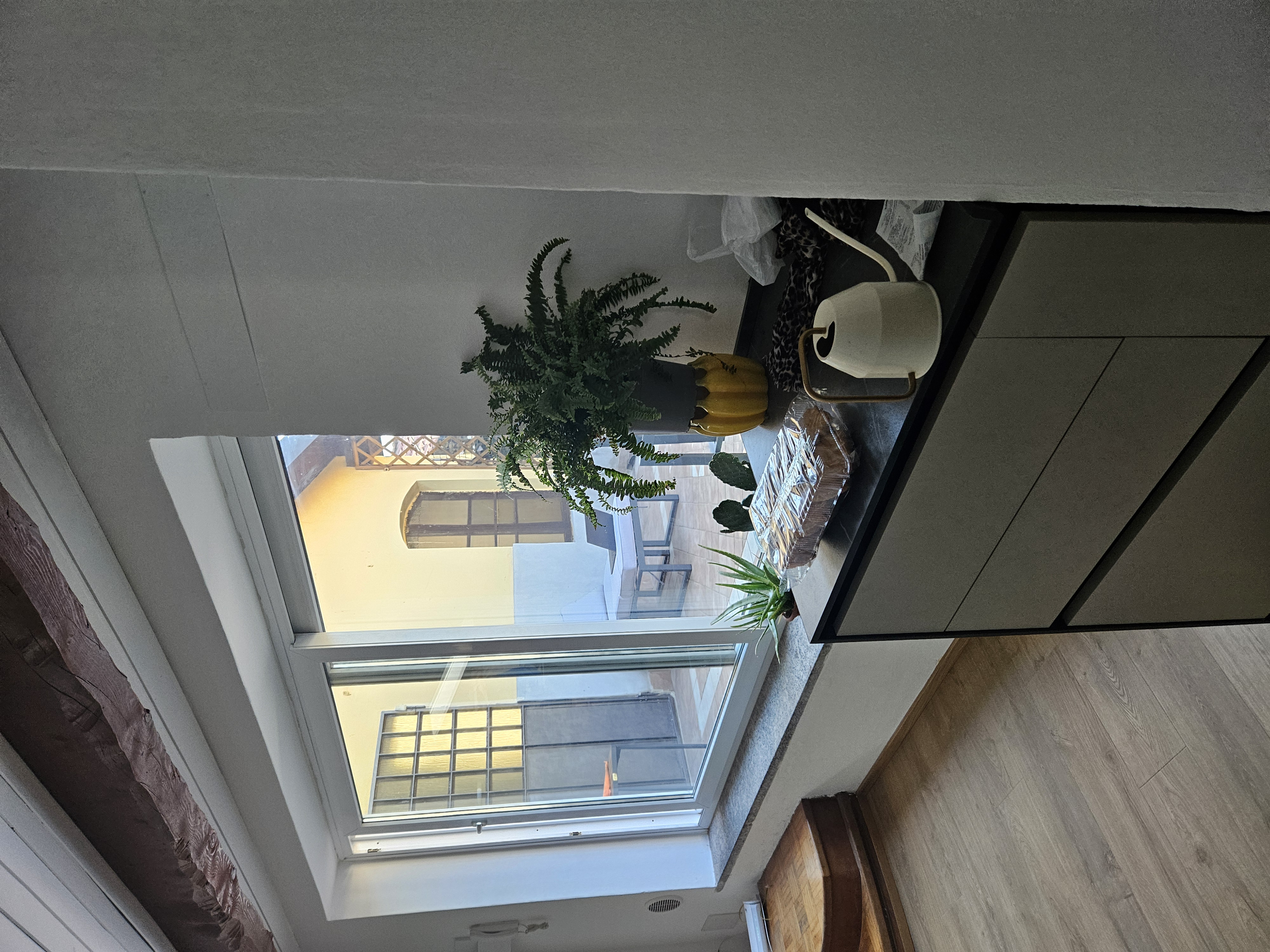 Living Room Window